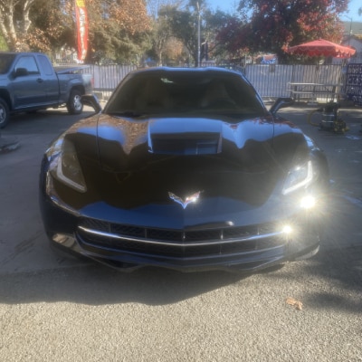 PAINT PROTECTION